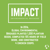 IMPACT - Environmental