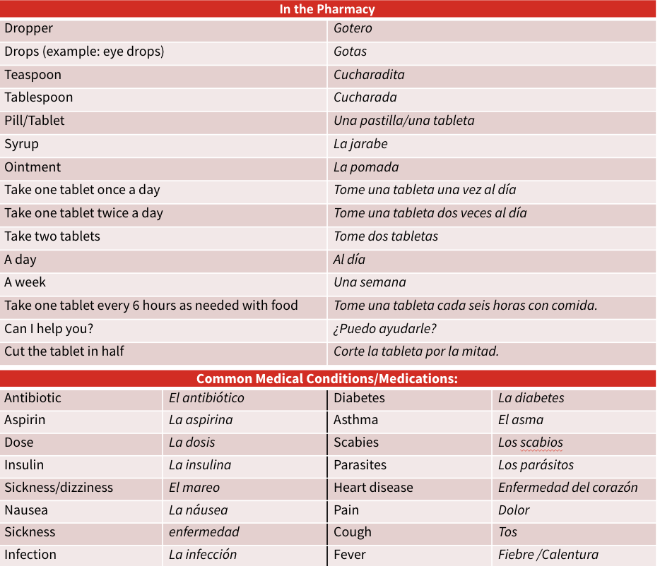 Medical Spanish For Beginners The Ultimate Resource For Med Students   Screen Shot 2021 03 09 At 10 17 57 AM 4 