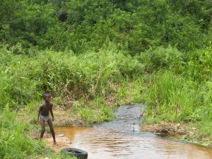New Video from Ghana: Water Brigades!